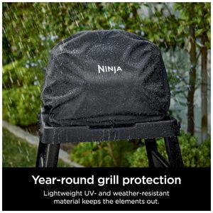 image-98b49a592ef544a2931cf65d32c0f8fc