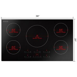 image-37d7ba721598466290946719c46651c3