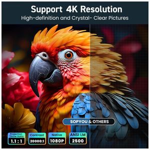 image-b790103a865849858efb004b62775287